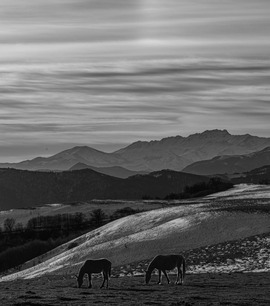 Фотография автора Севак Асрян