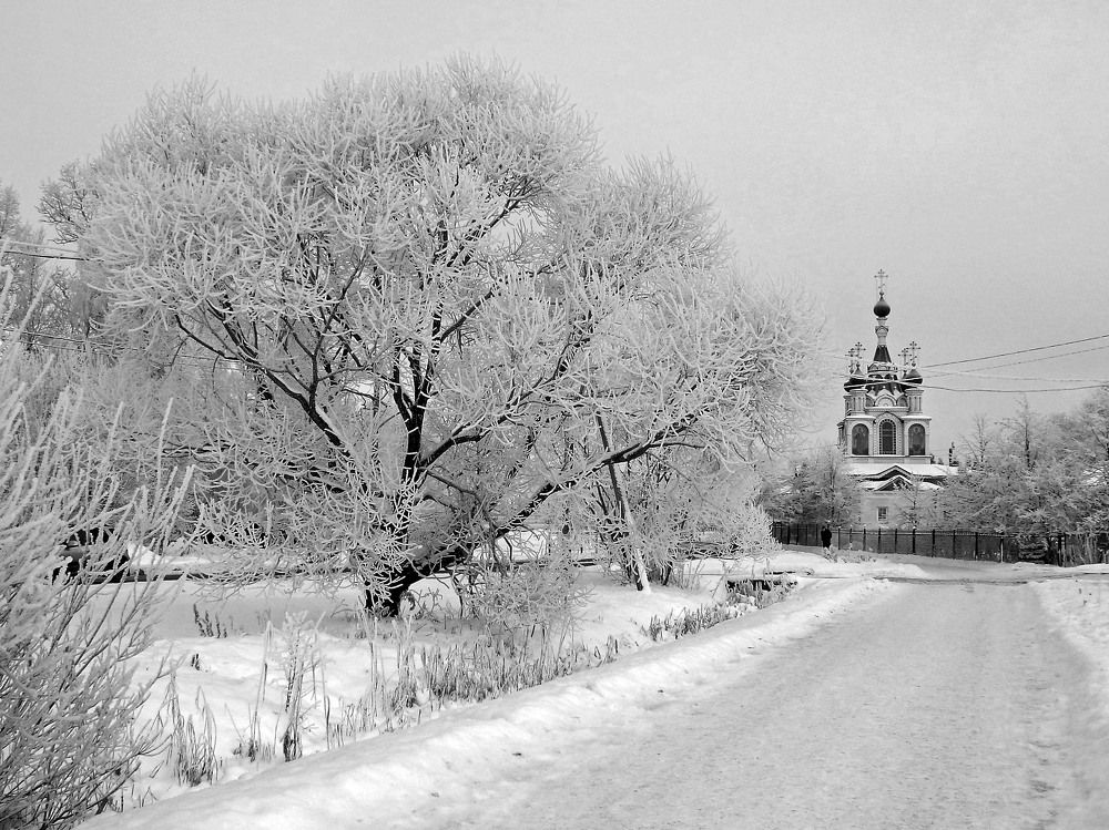 Photograph by Елена Гуляева