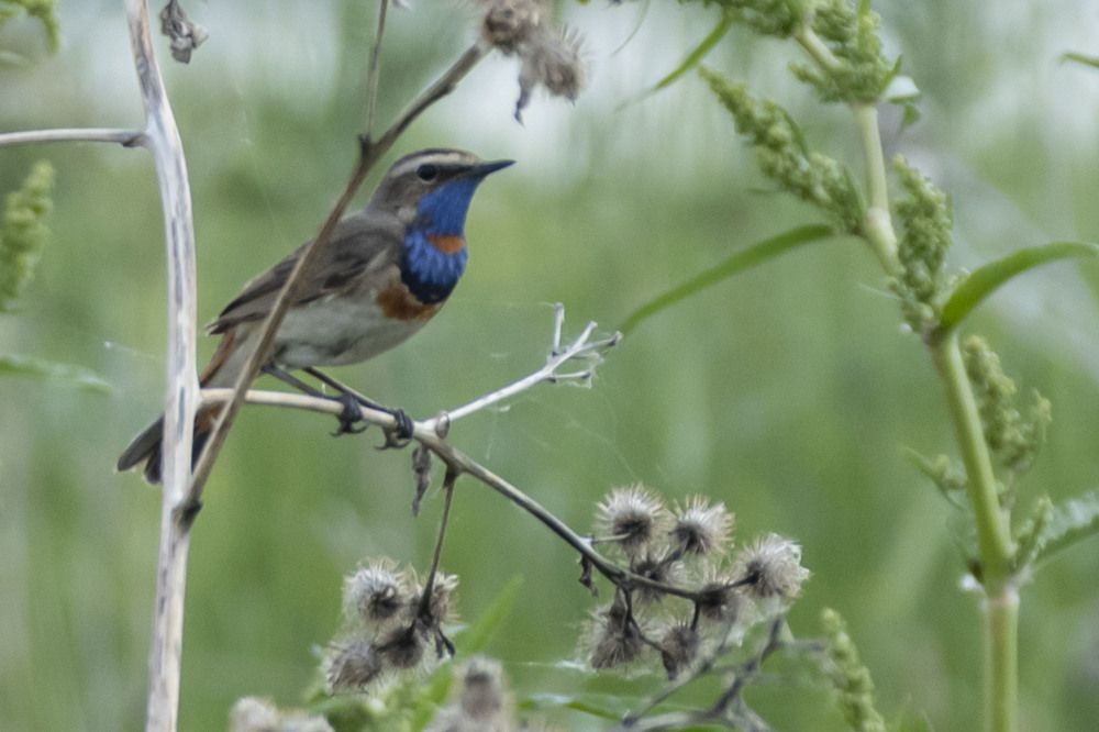 Photograph by Валерий Шорохов