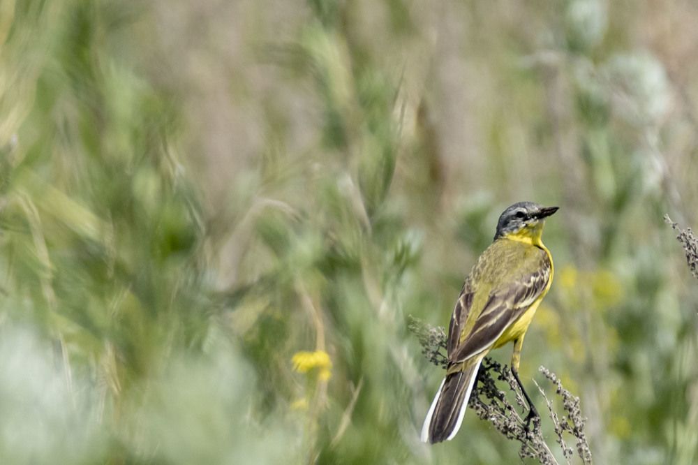 Photograph by Валерий Шорохов
