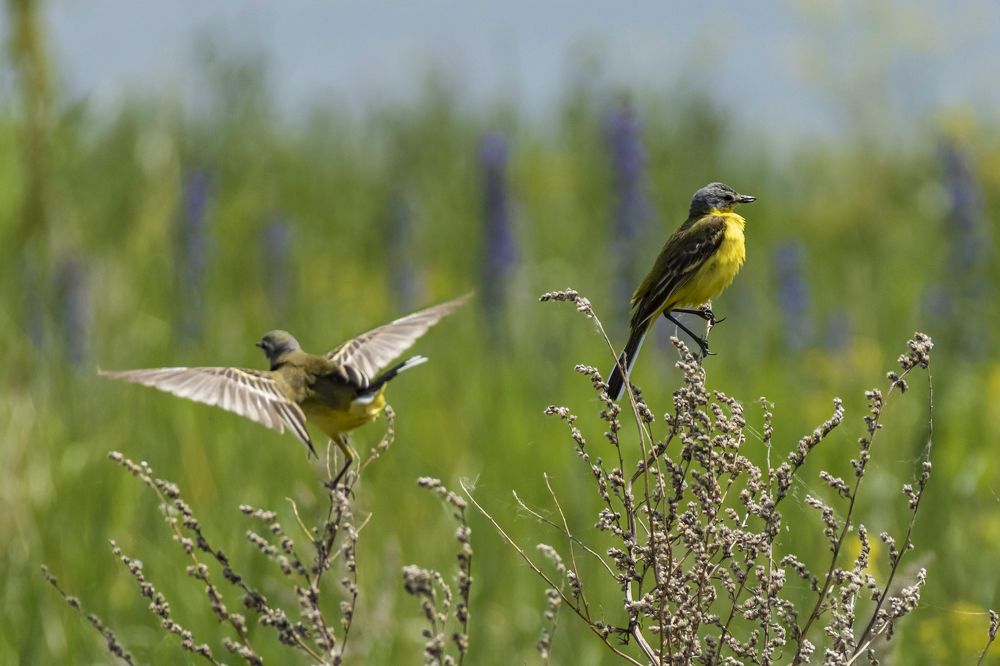 Photograph by Валерий Шорохов