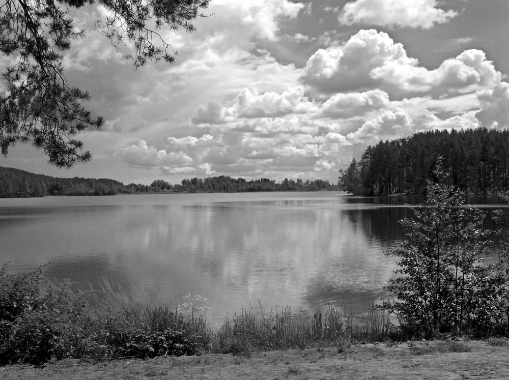 Photograph by Елена Гуляева