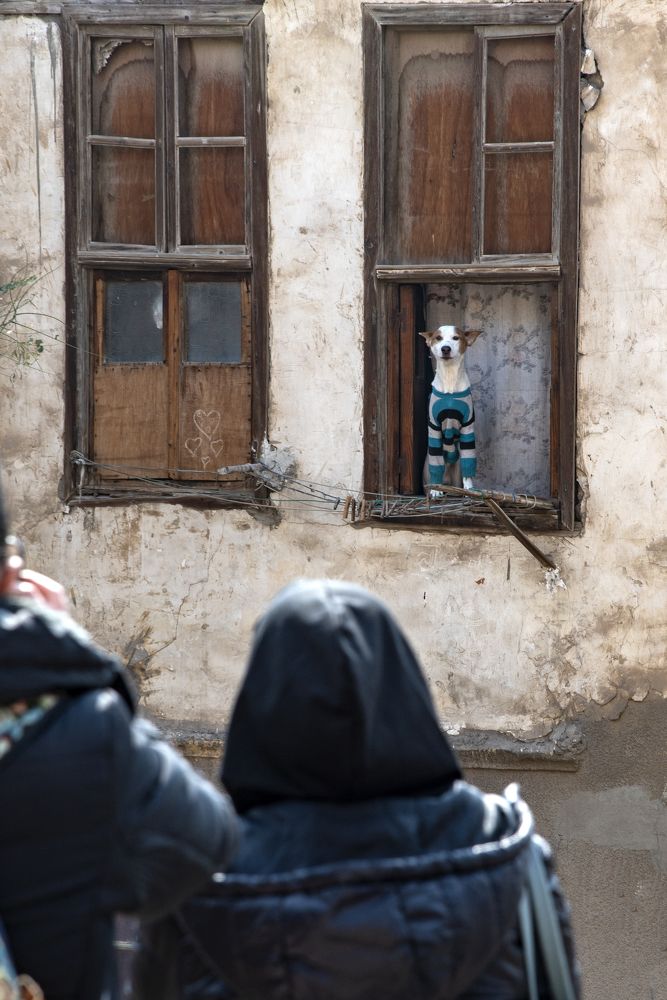 Photograph by Moataz Helmy