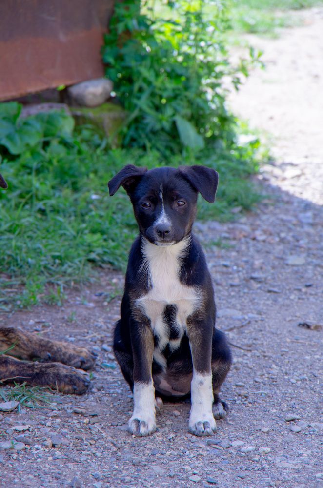 Фотография автора Hovhannes Nersisyan