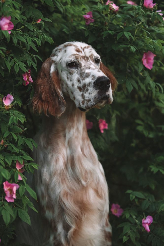 Photograph by СВЕТЛАНА ГРАЧЕВА