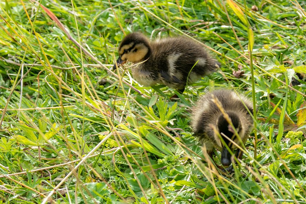 Photograph by Валерий Шорохов