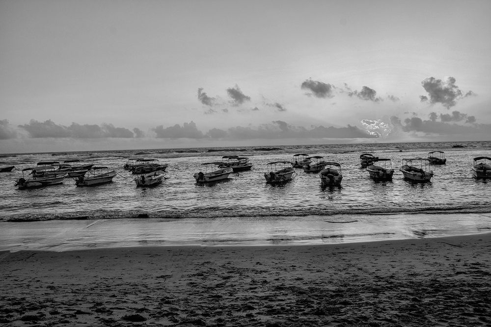 Photograph by LAHIRU GURUGE