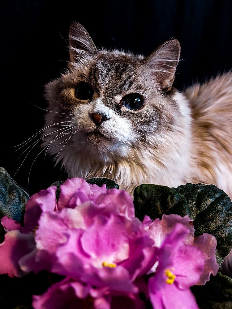 Photograph by Светлана Шиляева