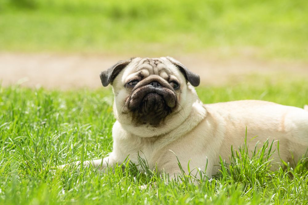 Photograph by Елена Невидимова