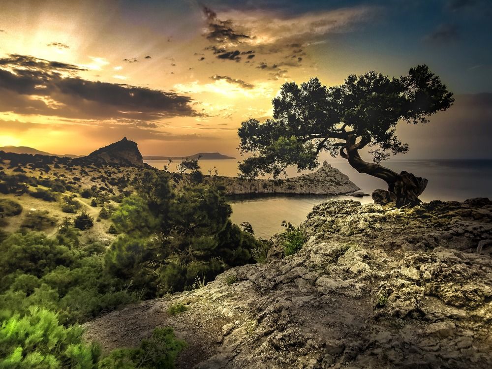 Photograph by Разумов Александр