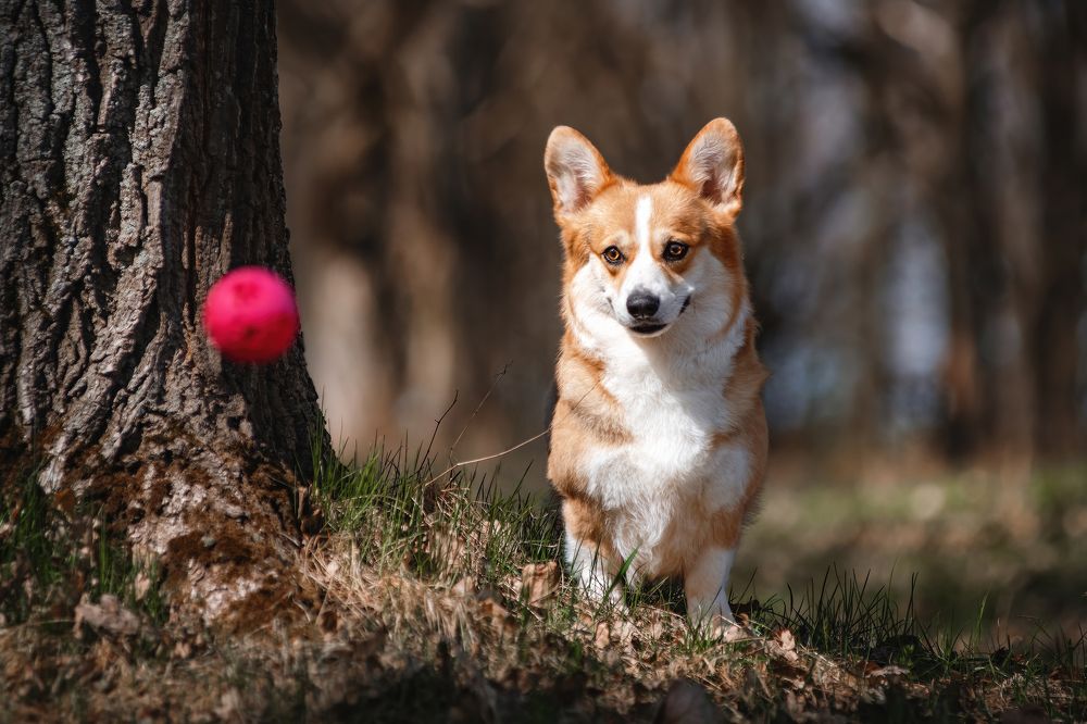 Photograph by Алексей Соколов