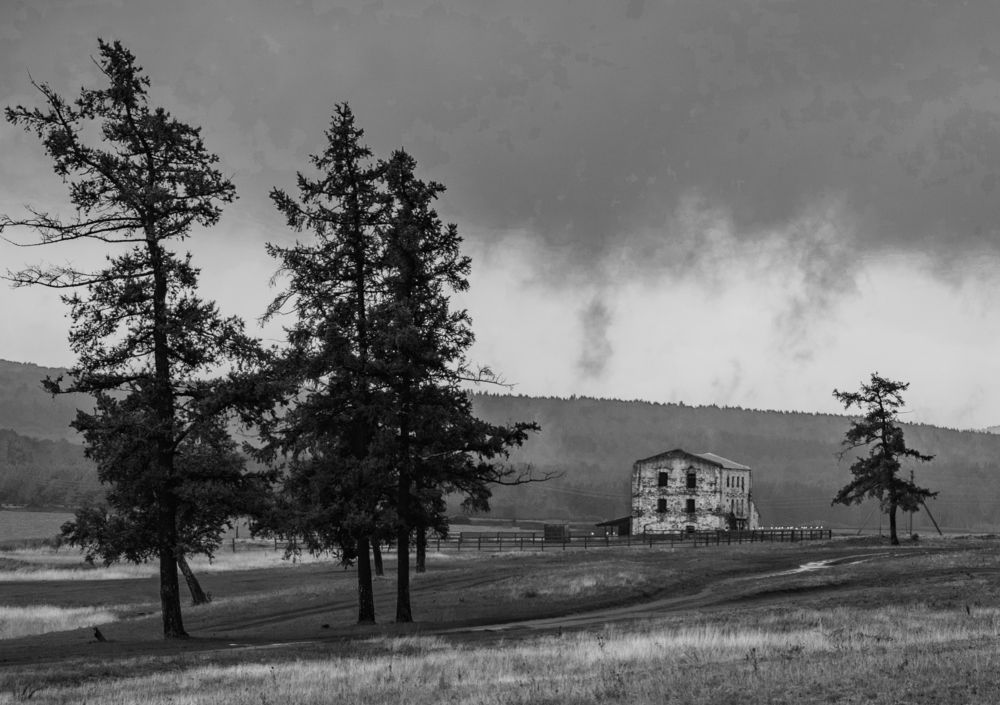 Photograph by Валерий Шорохов