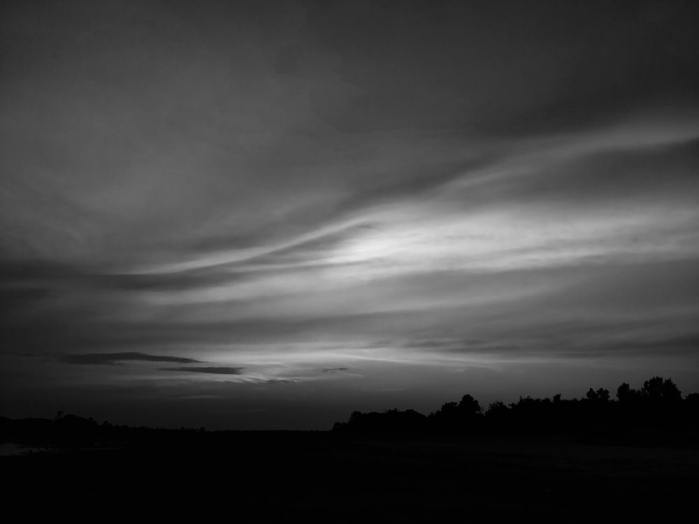 Photo #7684853