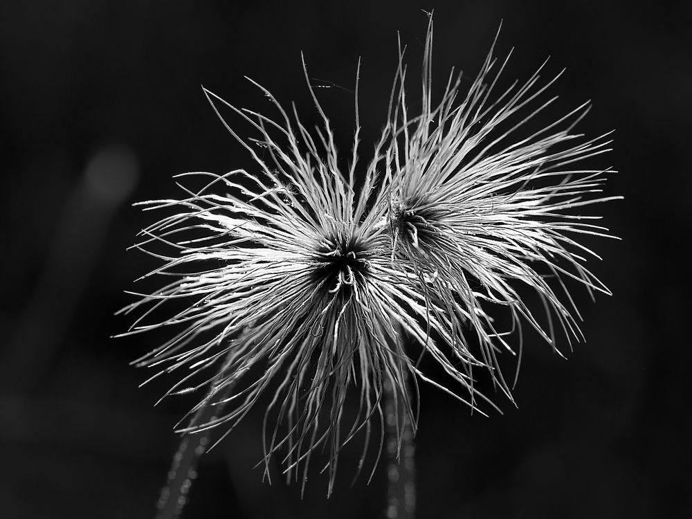 Photograph by Олег Тетерин