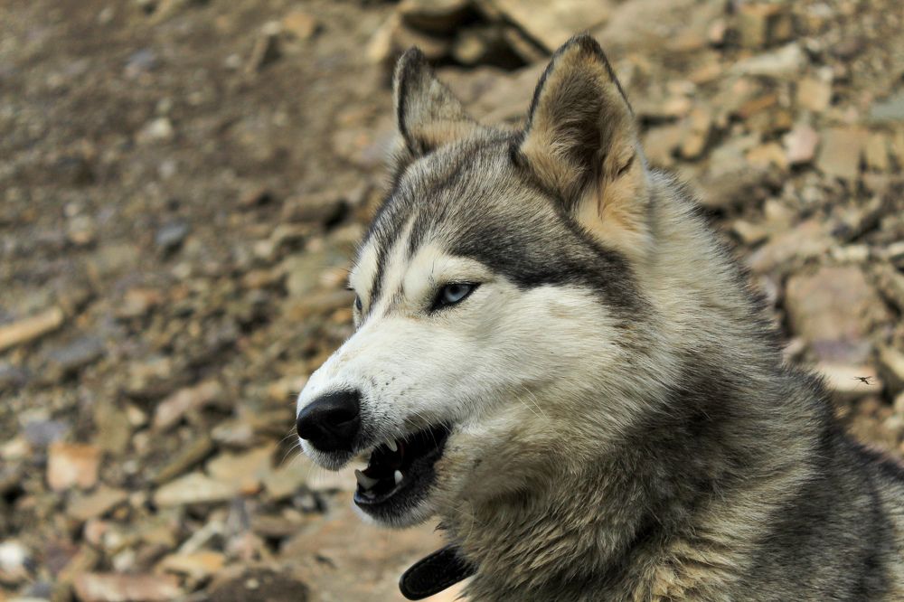 Photograph by Анна Рогачева