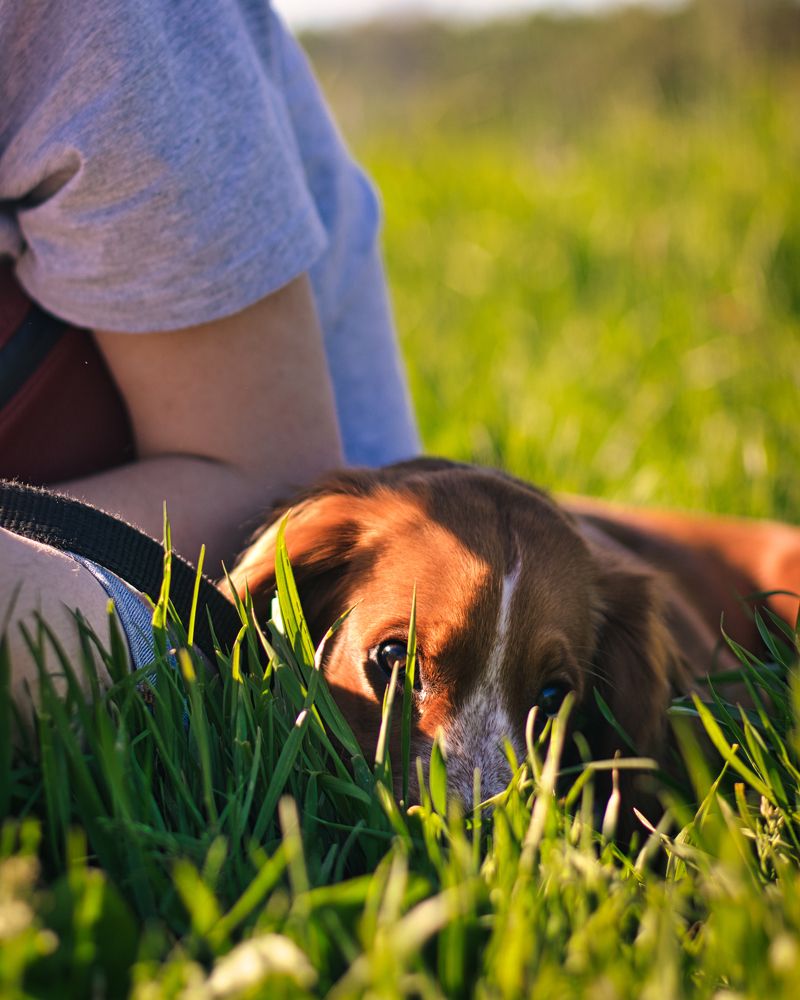 Photograph by Александр Марукович