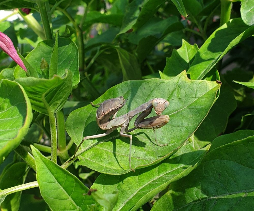 Photograph by Гюзель