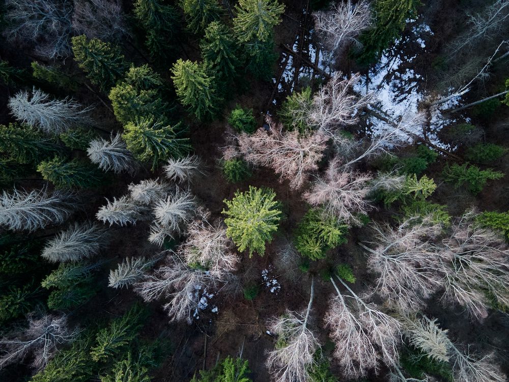 Photograph by Васильев Сергей