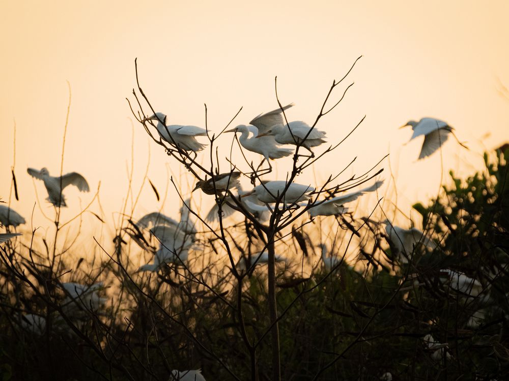 Photograph by Victor Dony Prastawa