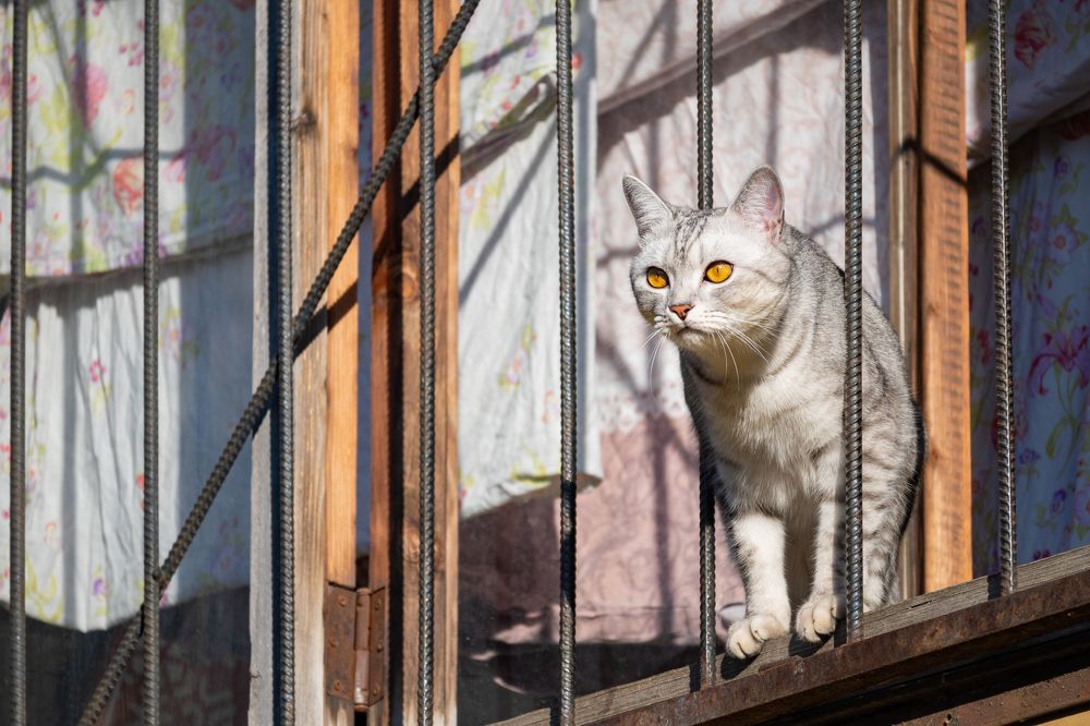 Photograph by Денис Пономарёв