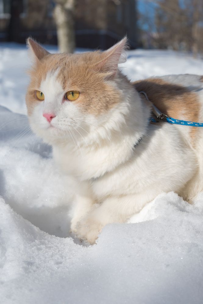 Photograph by Денис Пономарёв