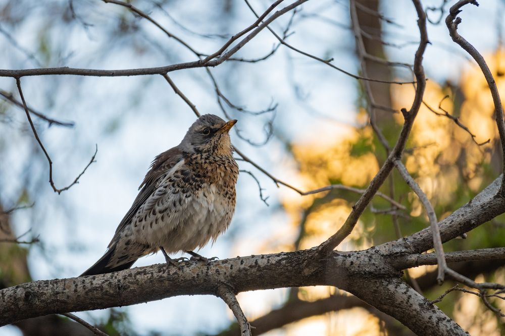 Photograph by Денис Пономарёв