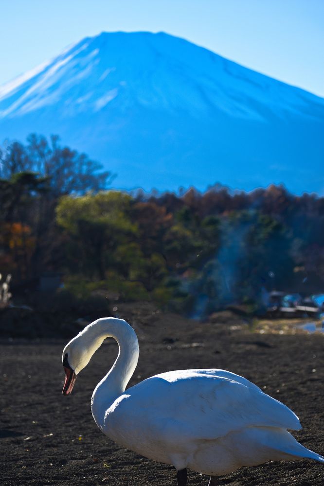 Фотография автора Sen Abhijit