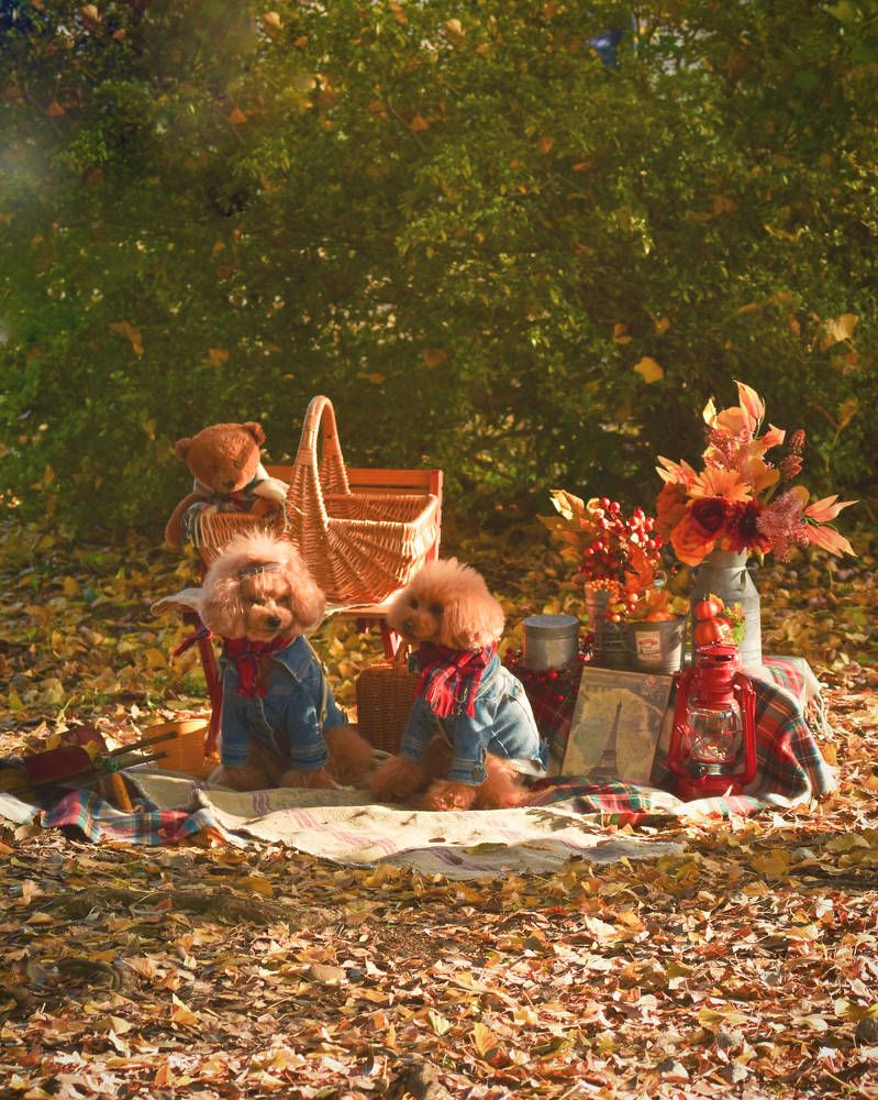 Фотография автора Sen Abhijit