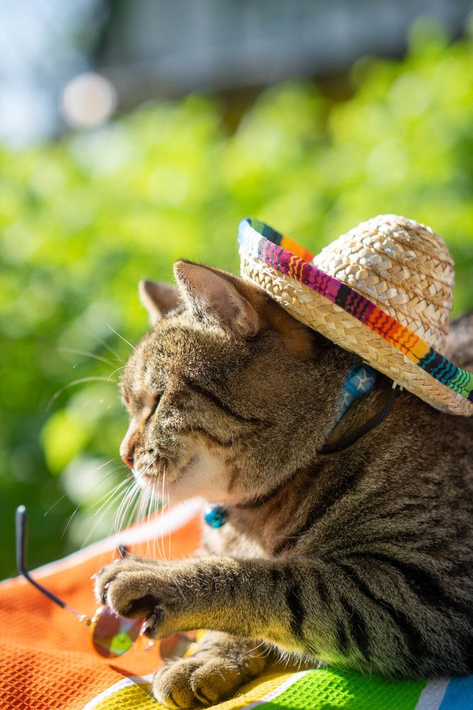 Photograph by Анна Гриневич