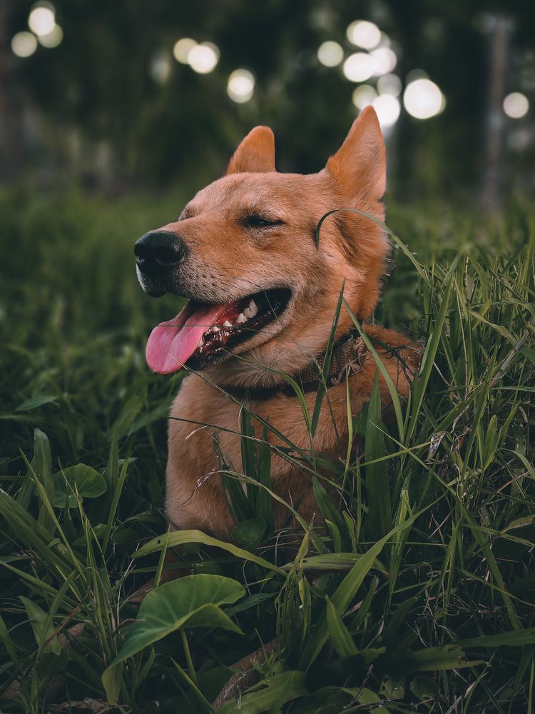 Photograph by Tushar Shetty