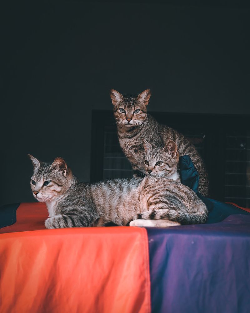 Photograph by Tushar Shetty