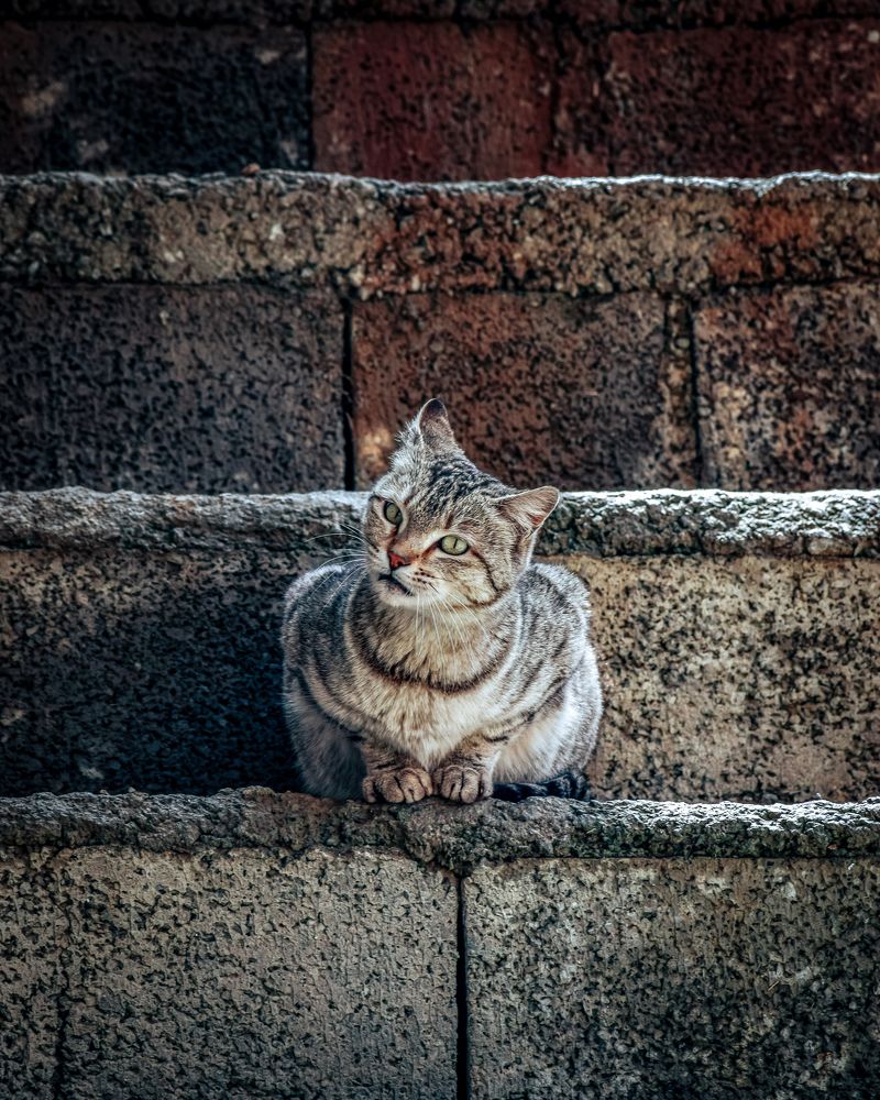 Photograph by Ehsan Fathi