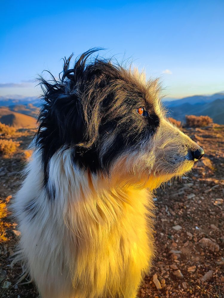 Photograph by Ehsan Fathi