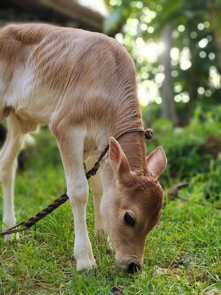 Photograph by Tushar Shetty