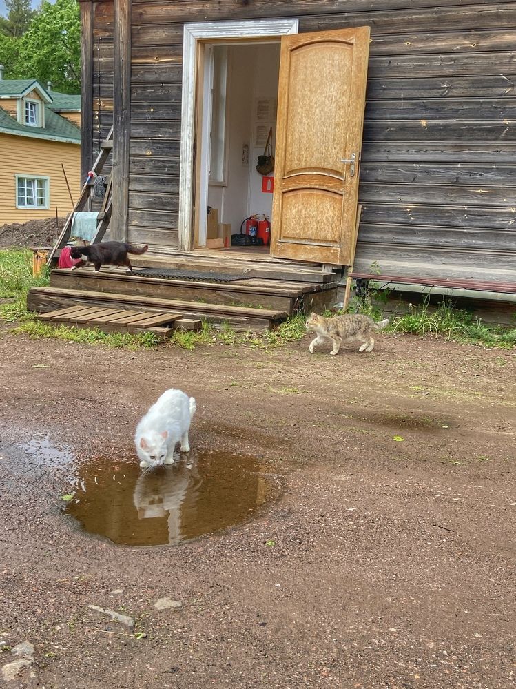 Photograph by Юлия Гусева