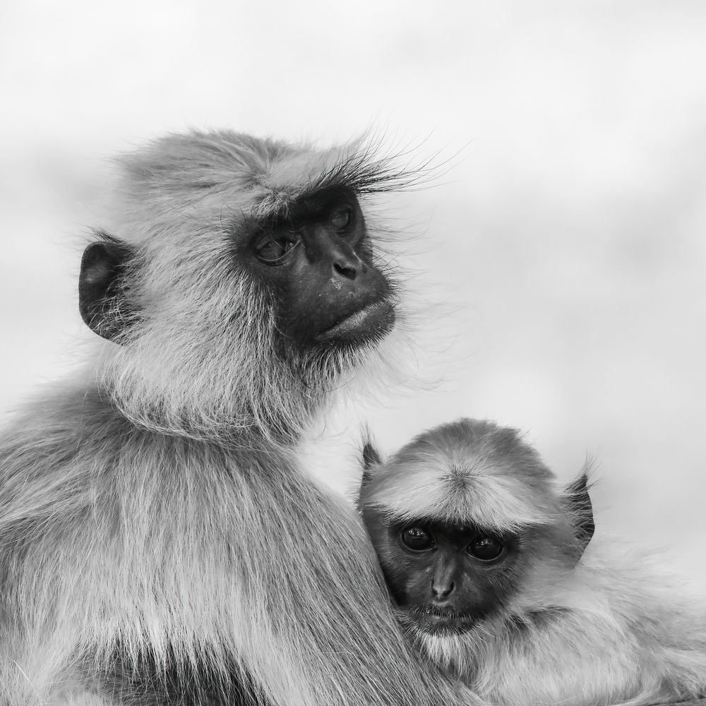 Photograph by SAPTARSHI DASGUPTA