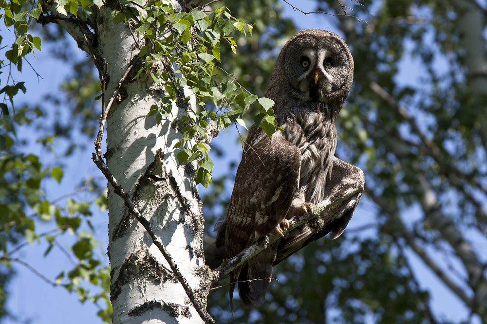 Photograph by Олег Тетерин