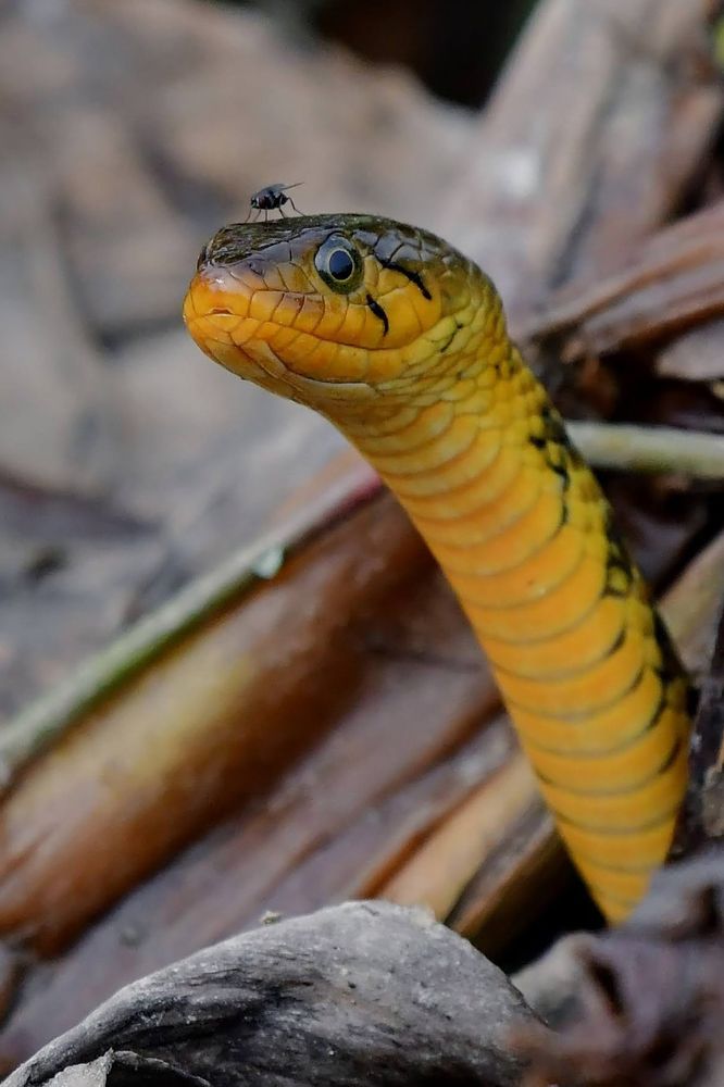 Photograph by Debjyoti Sarkar