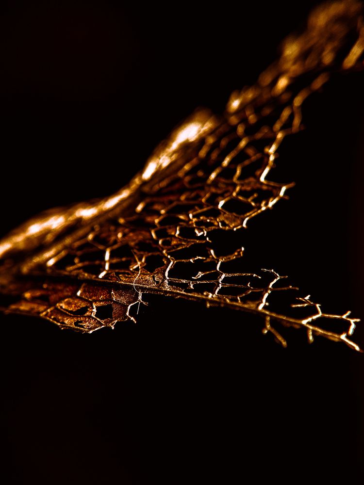Photo #7685265