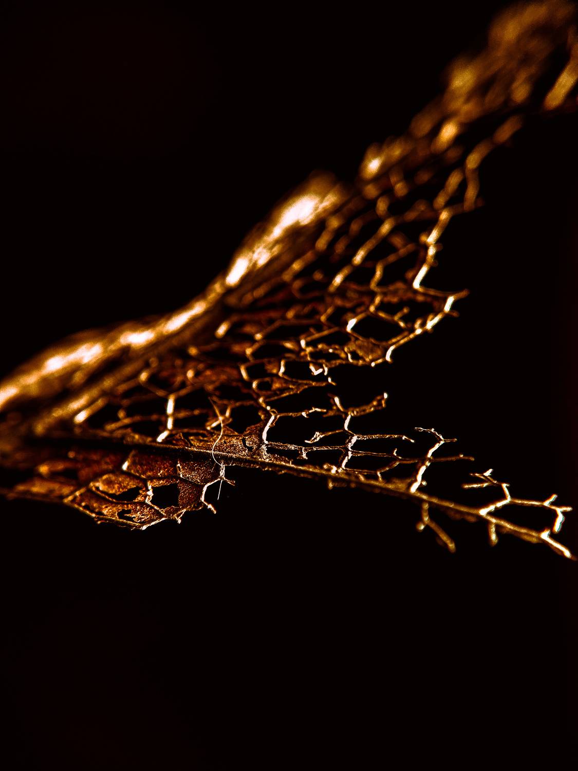 Photo #7685265
