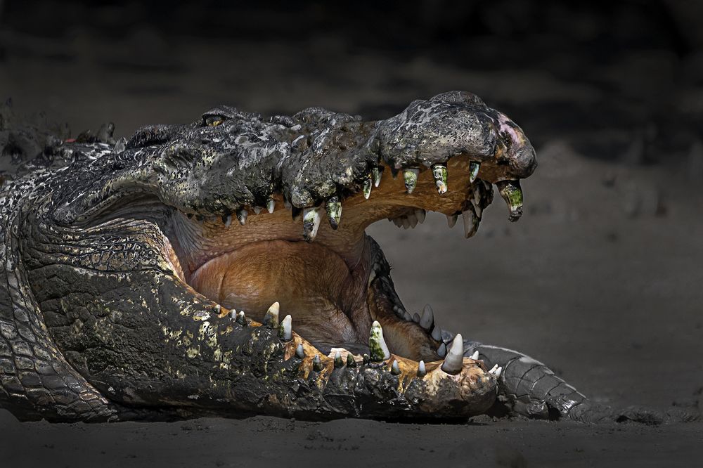 Photograph by Debjyoti Sarkar