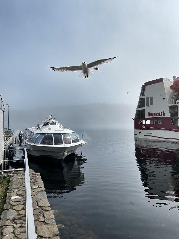 Photograph by Юлия Гусева