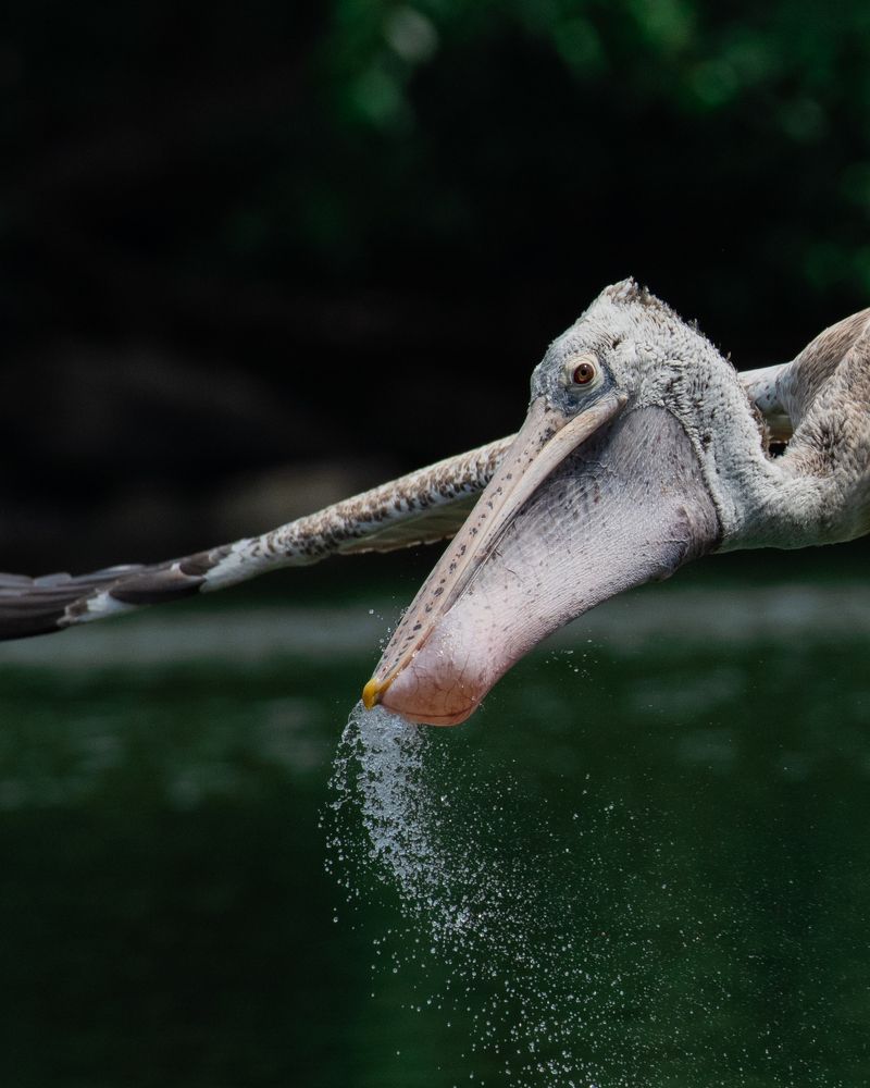 Фотография автора M Anandhu