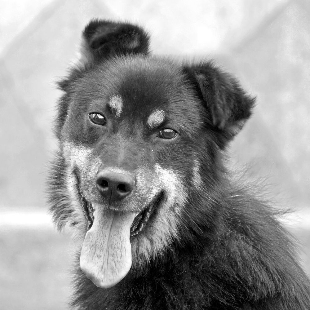 Photograph by Павел Колеснев