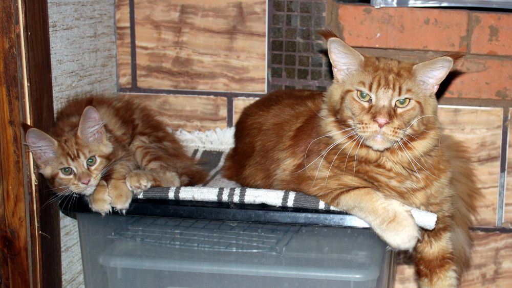 Photograph by Глеб Кузьминых