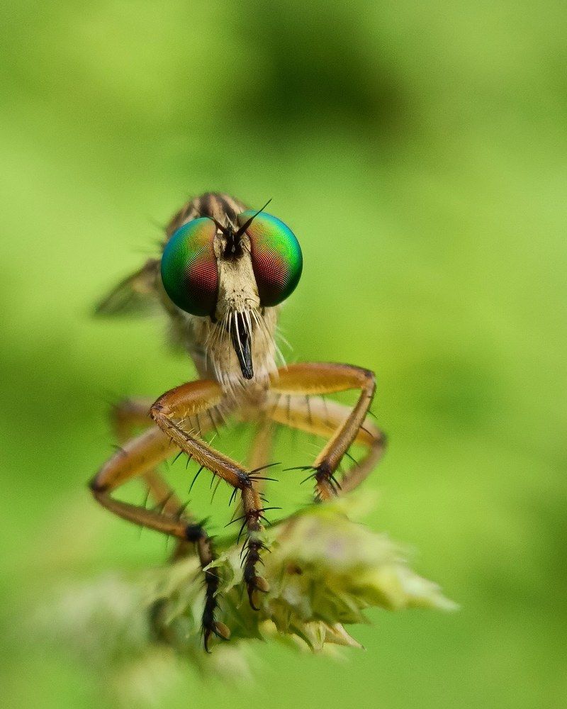 Photograph by Nethaji Nethaji