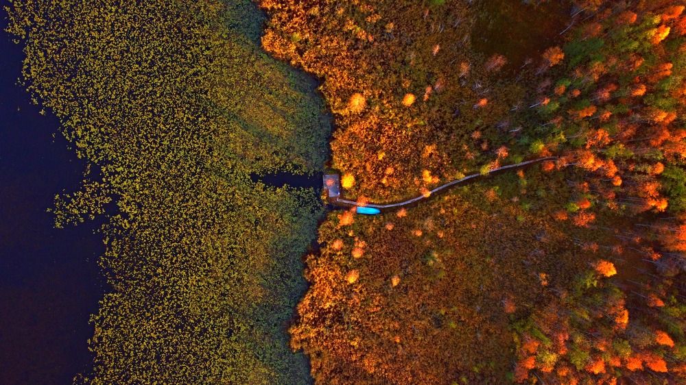 Photograph by Yulian Trip