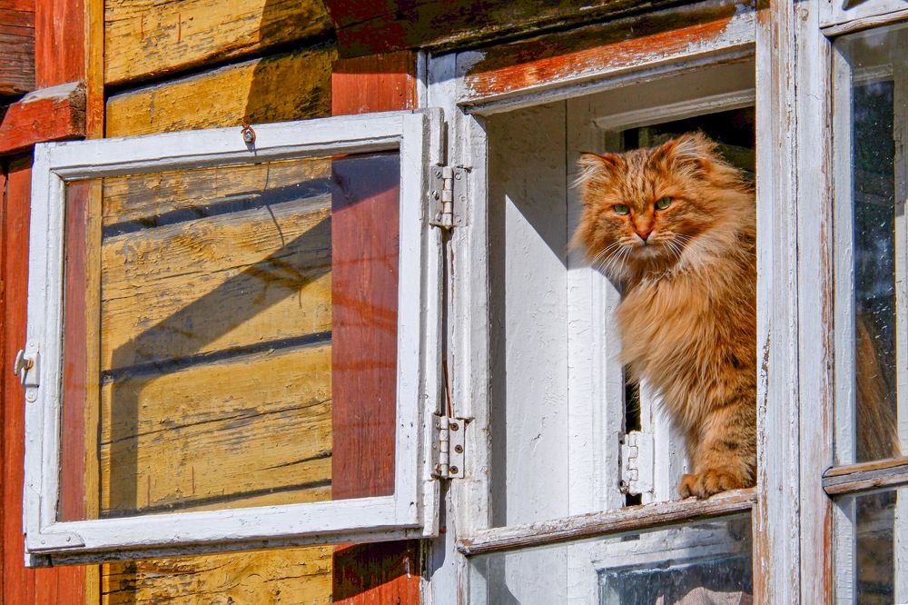 Photograph by Ольга Тюрина