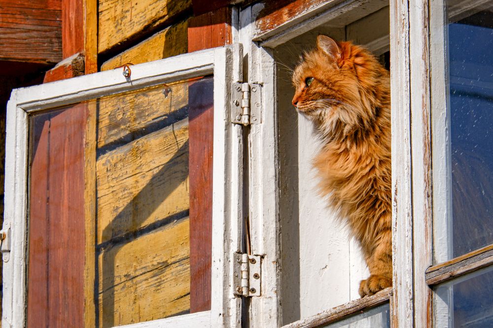 Photograph by Ольга Тюрина