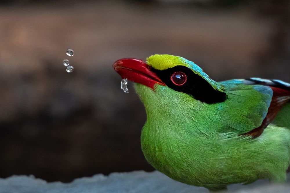 Photograph by Debjyoti Sarkar